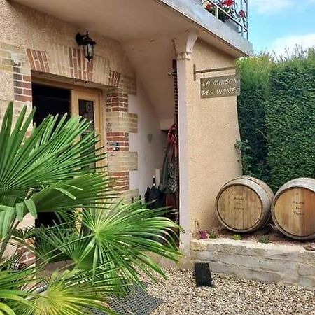 La Maison Des Vignes Charentay Exterior foto