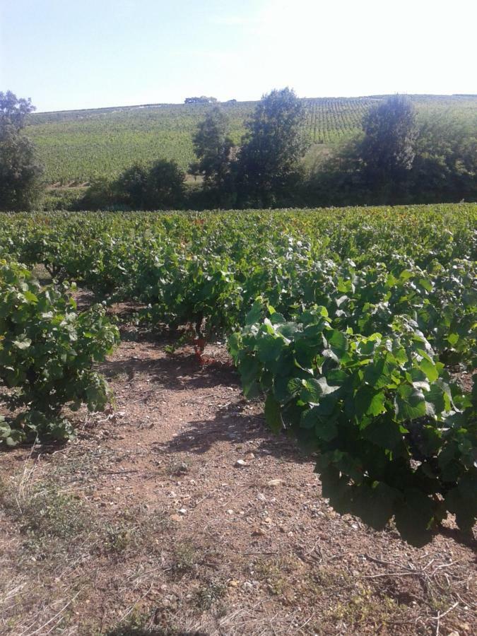 La Maison Des Vignes Charentay Exterior foto