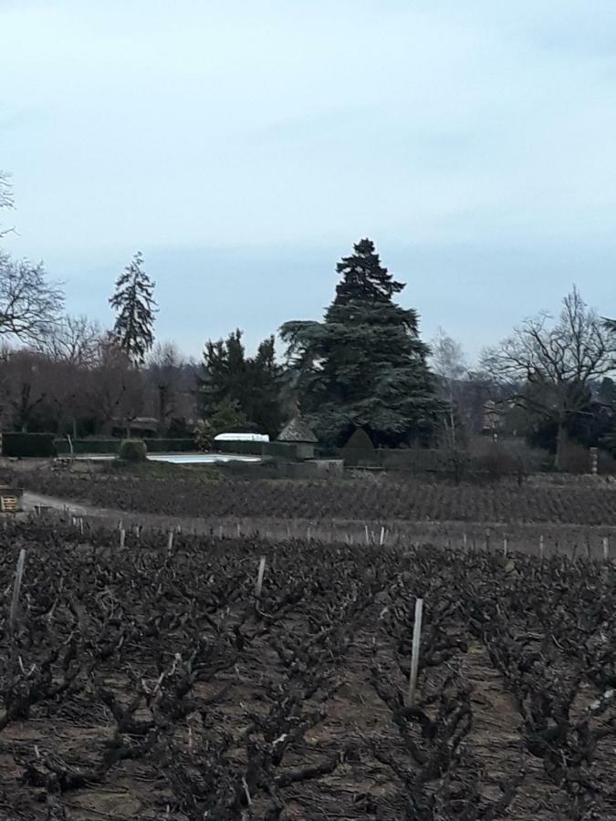 La Maison Des Vignes Charentay Exterior foto